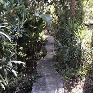Pensión Casa Simba (adults Only)